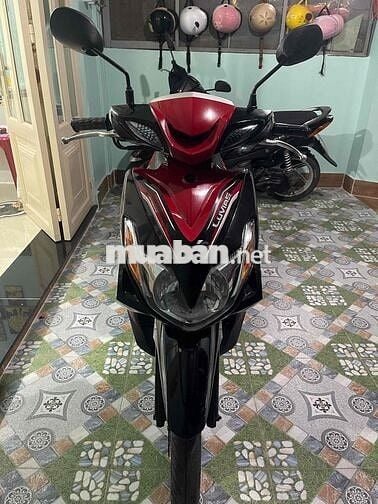 Bán luvias ngoại hình rất đẹp, giấy tờ đầy đủ