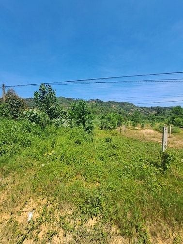 Bán đất 228m2 (100m thổ)  Đạ Tồn, H Đạ Huoai , MT đường, 800tr.