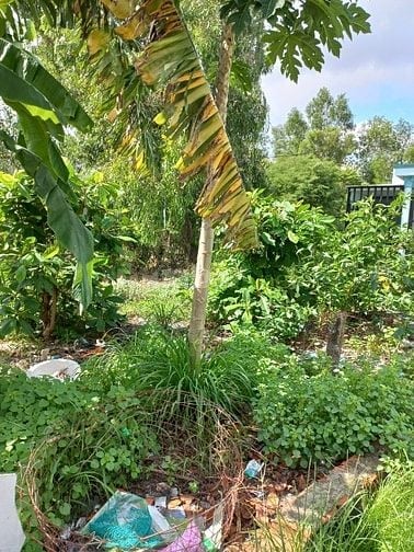 1.390 TỶ/ 91m2 full thổ,sổ riêng, hẻm ô tô 1 xẹc sát đường lớn, KDC 