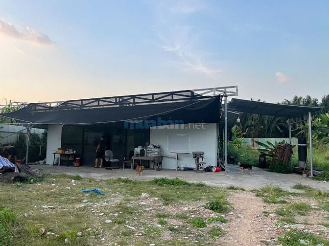 Cho thuê nhà xưởng và văn phòng