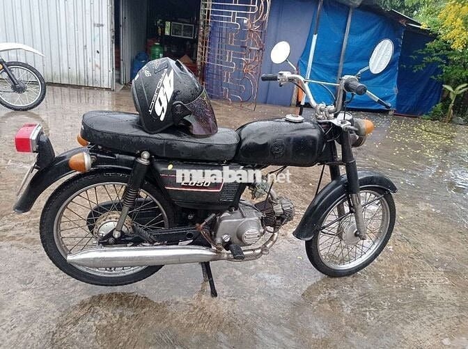 CD 50 quá chất