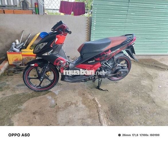 novo 4 bs 65 9chu giao cccd chũ