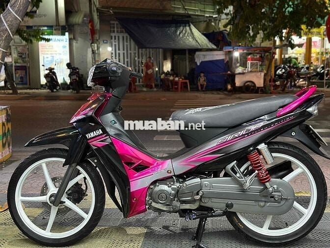 Sirus zin kiểng dọn mới leng keng