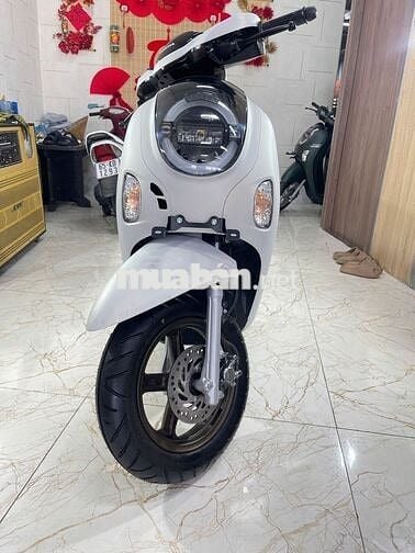✨ HONDA SCOOPY TRẮNG XE HẢI QUAN MỚI 100%