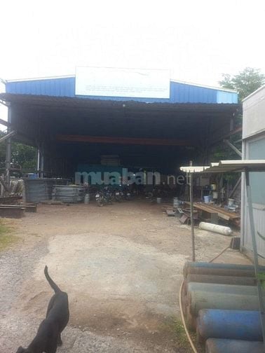 CHO THUÊ KHO XƯỞNG ẤP RỪNG SẾN, MỸ HẠNH BẮC, ĐỨC HÒA, LONG AN