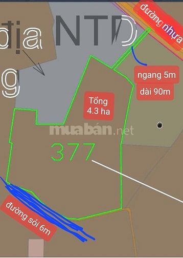 Bán ĐẤT CAO SU 4.3 ha (3TY5/ha TL thiện chí) cạnh kênh Tây, KCN Chà Là