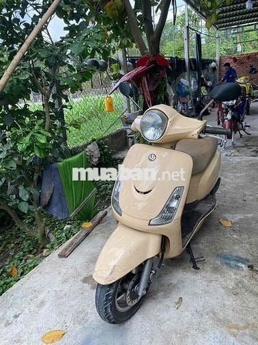 sYM xe nhập nguyên con.. xe đẹp liền lạc k hao xan