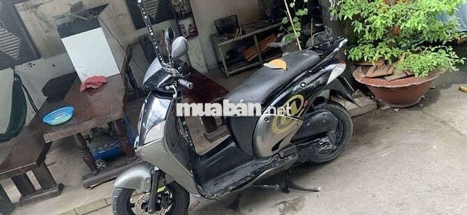 @150cc bstp giây tò hop lê