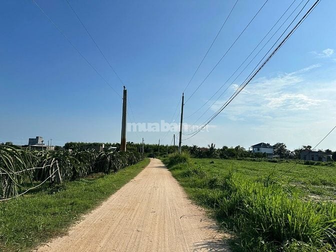 Bán Nhanh Lô Đất 1000m2 Giá Chỉ 1 Tỷ – Cơ Hội Đầu Tư Không Thể Bỏ Lỡ!