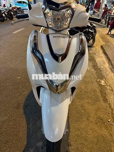 lead 4val màu trắng bản tiêu chuẩn 2024/3
