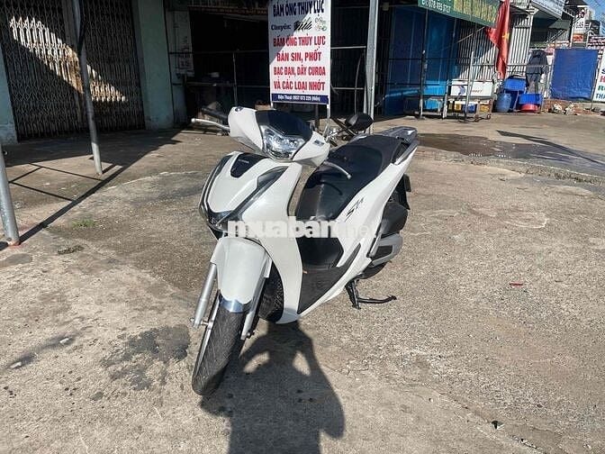 bán sh mau trắng thang abs. tra góp