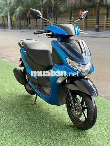 freego 2019 bstp Zin đẹp .