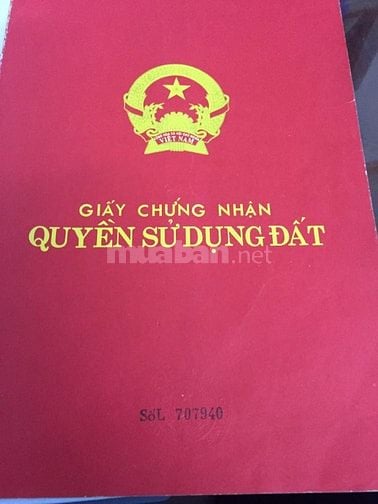Chính Chủ Bán Gấp Đất Sổ Đỏ 200m2, Đường Thanh Niên, Tam Tiến, Núi Thà