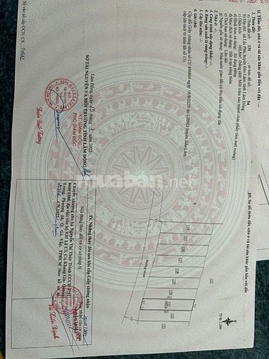 cần bán nhanh lô đất tại Xã Lộc Phú, Bảo Lâm Lâm Đồng