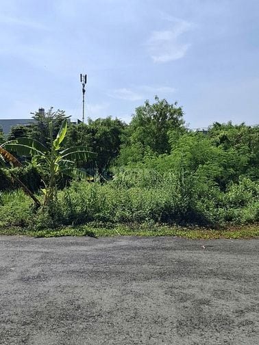 Bán đất mặt tiền D4 phường Phú Hữu Quận 9 giá 29,1 tỷ