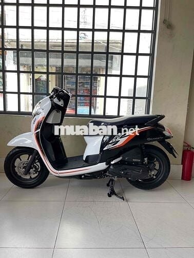 scoopy 2020 . hàng bỏ mẫu. zin cọp. hàng hiếm