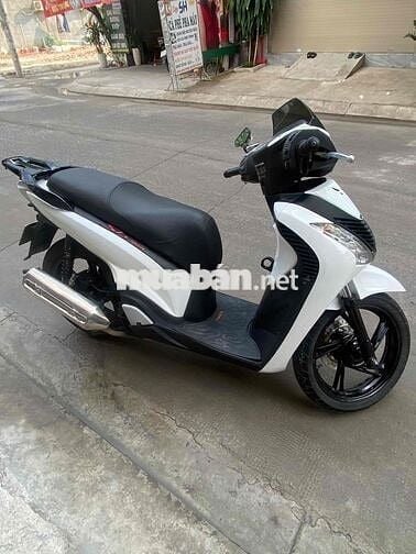 sh Việt Nam!  2019 150