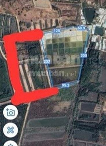 Bán đất Cần Giờ , dt lớn 6ha, xã Long Hòa 