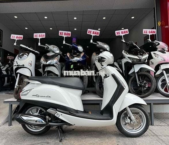 Zin Cọp - GRANDE 2014 Đẹp Như 2024 - BS 68