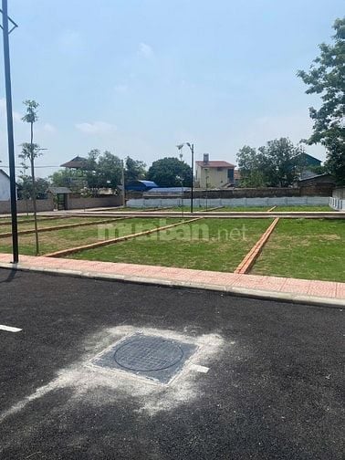 20 TRIỆU/M TẠI SÓC SƠN,HÀ NỘI ĐẦU TƯ CHẮC THẮNG - SỔ ĐỎ SANG TÊN NGAY
