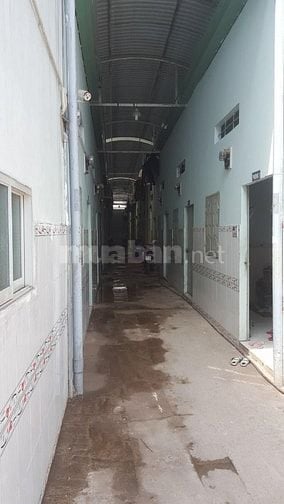 Bán gấp DÃY TRỌ 10PHONG ĐANG CHO THUÊ Ở Đ.SỐ 438 TÂN AN HỘI GIÁ 1TY250