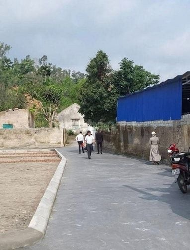 Bán Đất Nền 67M2 LIÊN XUÂN, THỦY NGUYÊN