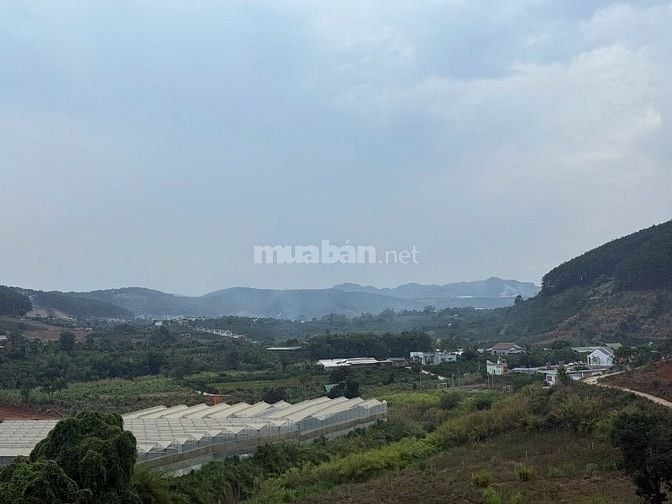 Bán Gấp 257m2 đất Thổ Cư Ven Đà Lạt, Giá Chỉ 370 Triệu