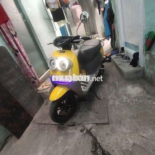 Xe minion 60cc
