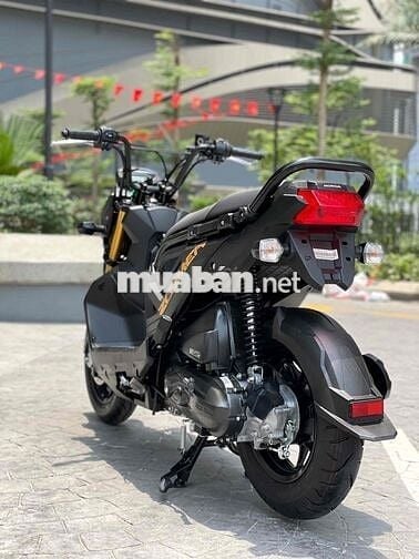Honda Zoomer X 110
