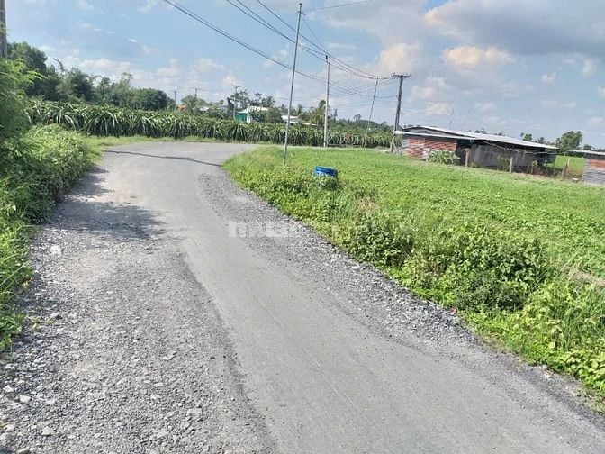 Đất thổ cư,mặt tiền đường nhựa.