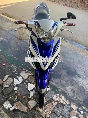 Ext 135 1/2015 bst bao tranh chấp