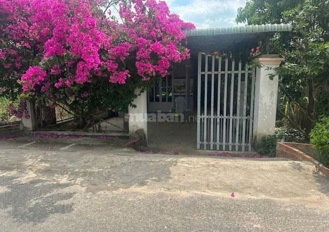 cần bán lại căn nhà 213m2 ở Phước Hiệp - Củ Chi giá 580 triệu.