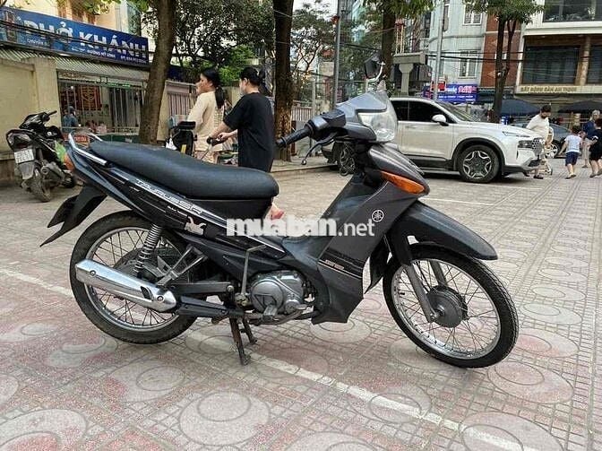Taure nguyên bản giấy tờ đầy đủ