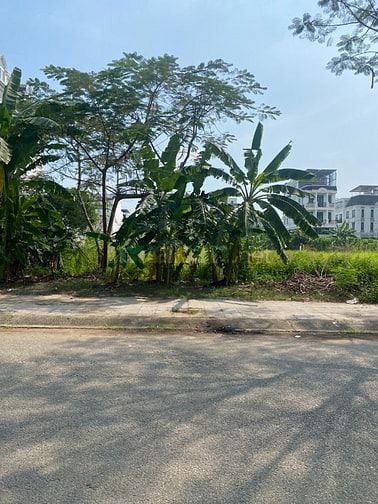 Bán đất dự án Đông Thủ Thiêm đường Nguyễn Duy Trinh (375m2) 105 tr/m2