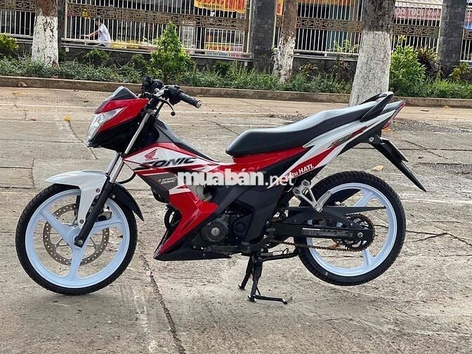 Sonic kiểng 2025 đẹp leng keng