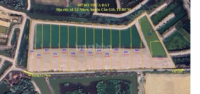 đất phân lô xã Lý Nhơn ,cần giờ giá 1,6tr/m2 giá rẽ........ 