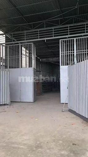 CHO THUÊ KHO 400m2 M.TIỀN QL1A, CHỢ AN HỮU, CÁI BÈ, TIỀN GIANG