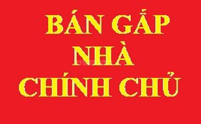 Dãy trọ mặt tiền Mỹ Hòa 4 thu nhập đều, pháp lý sạch 620m2 chỉ 63tr/m2