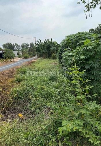 CHỦ KẸT TIỀN BÁN GẤP LÔ ĐẤT Ở PHƯỚC HIỆP CỦ CHI GIÁ 500TR 150M2