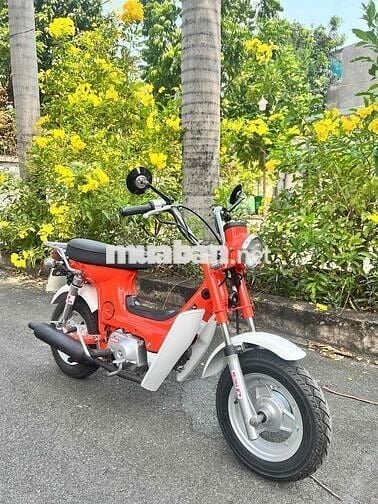honda chaly