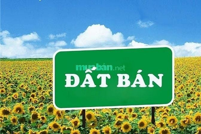 Lô đất mặt tiền Nguyễn Văn Bứa, xã Xuân Thới Sơn Hóc Môn, 3000m2, 35tr