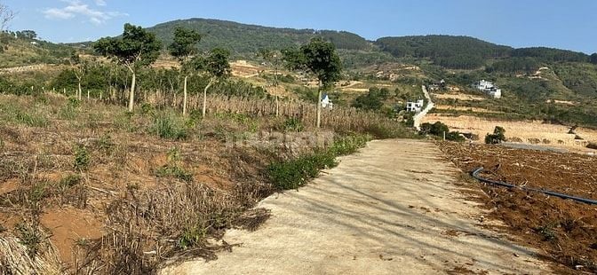 Bán 150m2 đất Đông Thanh chỉ 430 triệu, cách đường nhựa 500m