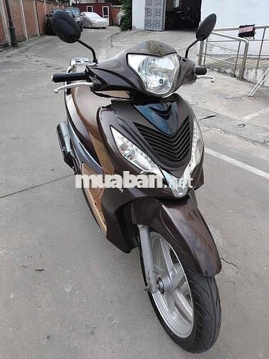 XE GIÁ RẺ