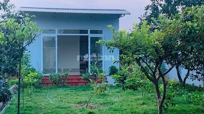 Chính chủ bán 950 m2 đất có sổ đỏ, đã xây nhà kiên cố diện tích 50m2