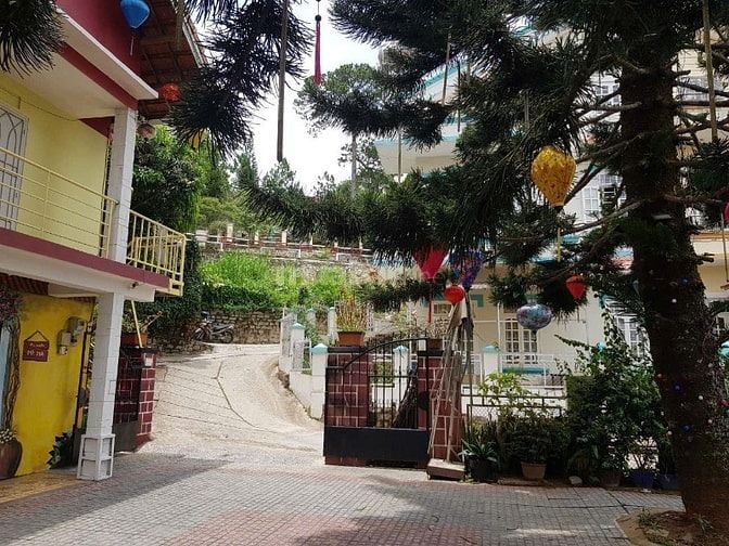 🌟🌟🌟 BIỆT THỰ 300m2 - KHU PHẠM HỒNG THÁI P.10 TP.ĐALAT. GIÁ 29 TỶ 🌟