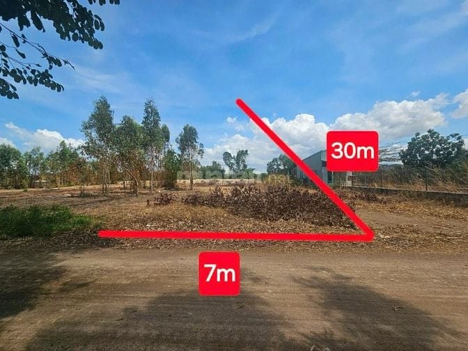 Công ty Đấu giá hợp danh Lam Sơn Sài Gòn THÔNG BÁO ĐẤU GIÁ TÀI SẢN