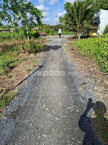 Cần bán 2 lô đất thổ cư đẹp giá rẻ 