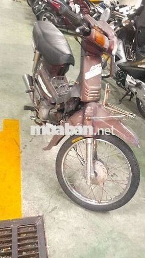 dream lun honda bstpho