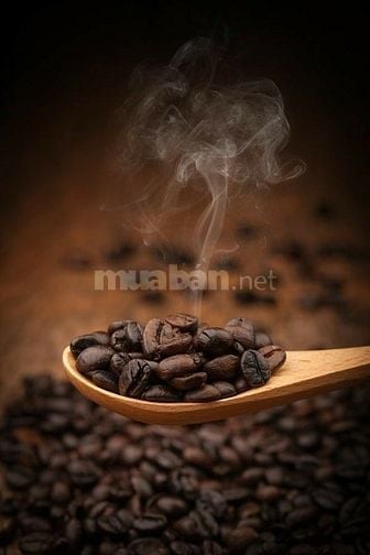 Việc làm thêm sinh viên quận Bình Thạnh