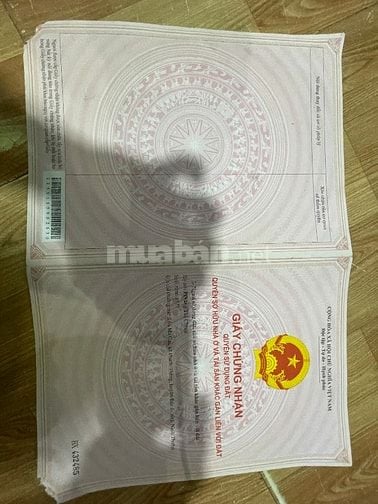 Ngộp ngân hàng. Kẹt tiền bán gấp